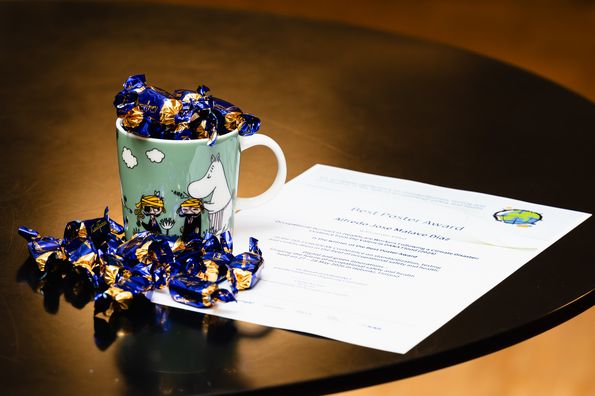 Certificate and prize for best poster: Mumin mug filled with chocolates 